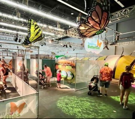 a-MAZE-ing Butterflies: A New Way for Families to Connect at MOSI