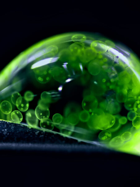 NOW OPEN: Uncover an Ultra-Tiny Hidden Universe with Stunning Exhibit at MOSI