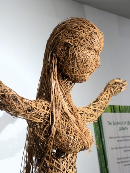 Dreaming in Bamboo: Nature-Inspired Sculptures Intrigue, Delight Guests at MOSI  