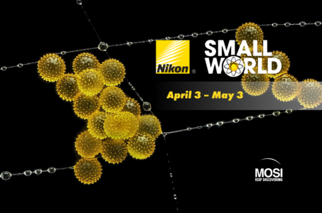Nikon Small World
