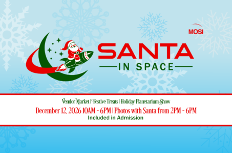 Santa in Space